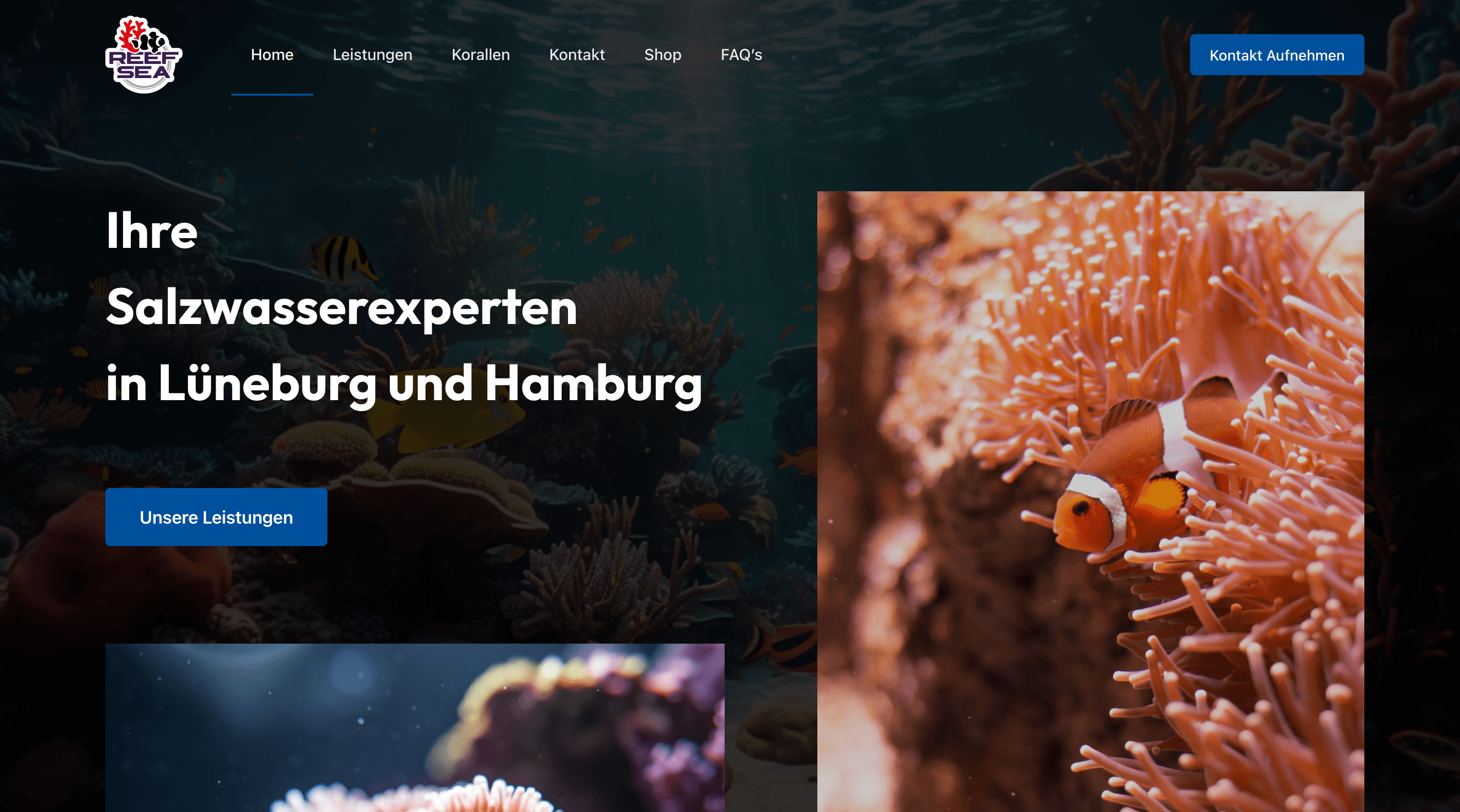 ReefSea website
